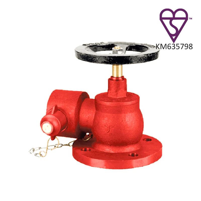 Right Angle Landing Valve